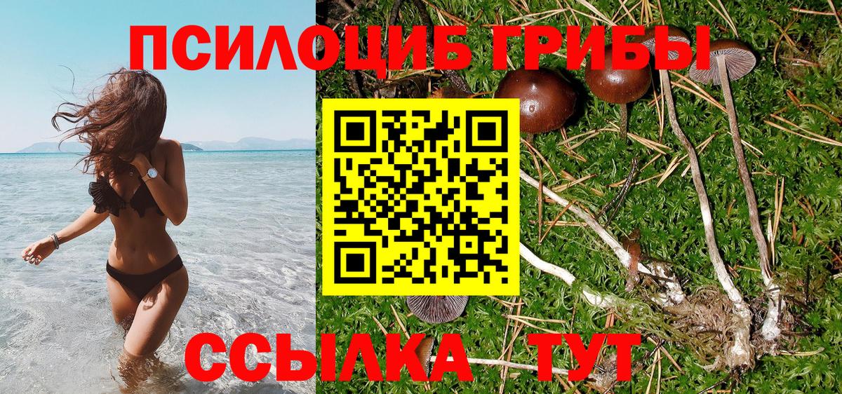 Псилоцибиновые грибы Magic Shrooms  Вход с VPN  Чехов  Псилоцибиновые грибы GOLDEN TEACHER 