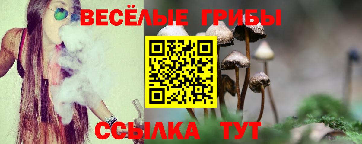 Галлюциногенные грибы Psilocybe Чехов